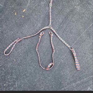 Breast Coller And Bridle